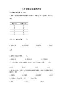 小升初数学期末测试卷（名师推荐）word版