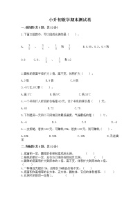 小升初数学期末测试卷及参考答案（培优）