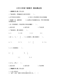 小学六年级下册数学 期末测试卷【名师推荐】