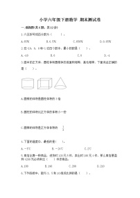 小学六年级下册数学 期末测试卷【培优a卷】