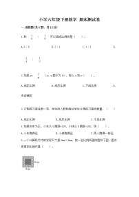 小学六年级下册数学 期末测试卷（中心小学）