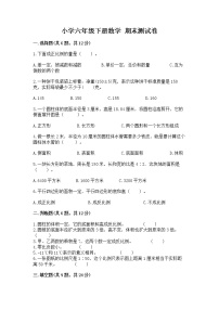 小学六年级下册数学 期末测试卷必考