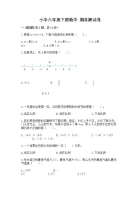 小学六年级下册数学 期末测试卷带答案（精练）