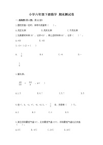 小学六年级下册数学 期末测试卷附参考答案（实用）