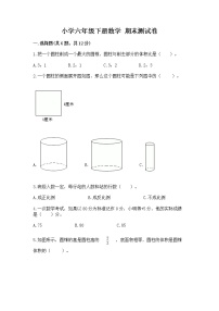 小学六年级下册数学 期末测试卷带答案（新）