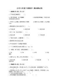 小学六年级下册数学 期末测试卷【达标题】