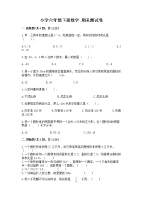 小学六年级下册数学 期末测试卷【必刷】