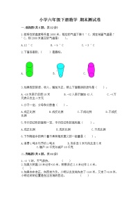 小学六年级下册数学 期末测试卷【a卷】