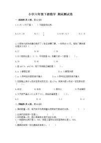 小学六年级下册数学 期末测试卷（考点提分）