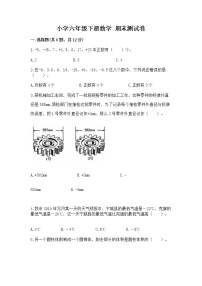 小学六年级下册数学 期末测试卷【典型题】