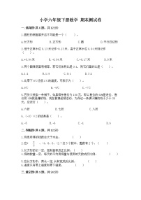 小学六年级下册数学 期末测试卷【能力提升】