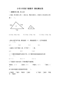 小学六年级下册数学 期末测试卷（易错题）