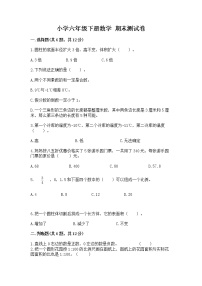 小学六年级下册数学 期末测试卷（名校卷）