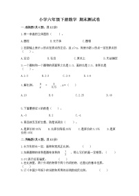 小学六年级下册数学 期末测试卷【精选题】