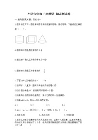 小学六年级下册数学 期末测试卷【各地真题】