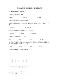 小学六年级下册数学 期末测试卷附参考答案【综合题】