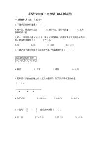 小学六年级下册数学 期末测试卷含完整答案（名校卷）