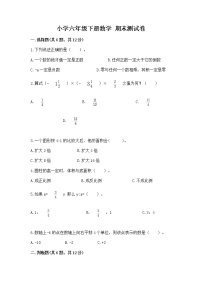 小学六年级下册数学 期末测试卷含完整答案（典优）