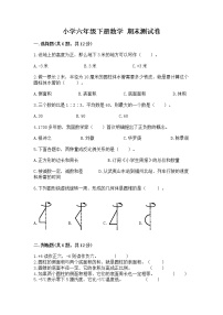 小学六年级下册数学 期末测试卷含完整答案（名师系列）