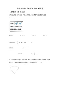 小学六年级下册数学 期末测试卷及一套完整答案