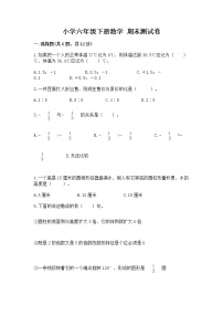 小学六年级下册数学 期末测试卷精品（名校卷）