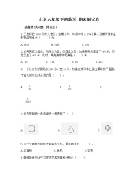 小学六年级下册数学 期末测试卷精品（实用）