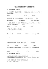 小学六年级下册数学 期末测试卷精品（全优）