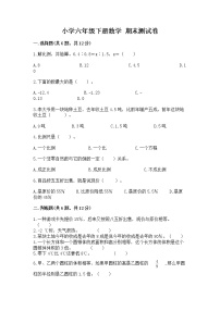 小学六年级下册数学 期末测试卷精品（综合题）