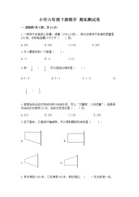 小学六年级下册数学 期末测试卷精选答案