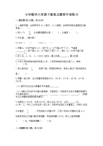 小学数学六年级下册重点题型专项练习word版