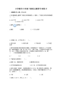 小学数学六年级下册重点题型专项练习