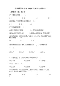 小学数学六年级下册重点题型专项练习