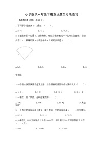 小学数学六年级下册重点题型专项练习