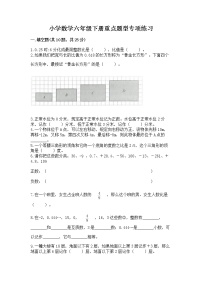 小学数学六年级下册重点题型专项练习word版