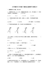 小学数学六年级下册重点题型专项练习