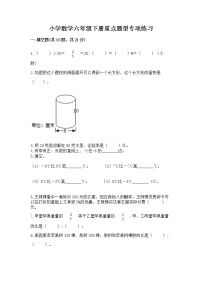 小学数学六年级下册重点题型专项练习