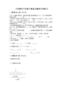 小学数学六年级下册重点题型专项练习word版