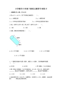 小学数学六年级下册重点题型专项练习