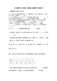 小学数学六年级下册重点题型专项练习word版