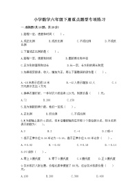 小学数学六年级下册重点题型专项练习带答案