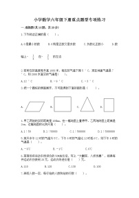 小学数学六年级下册重点题型专项练习AB卷