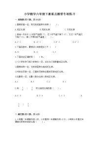 小学数学六年级下册重点题型专项练习带完整答案