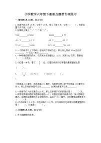 小学数学六年级下册重点题型专项练习