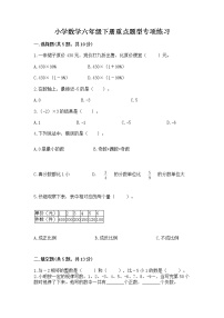 小学数学六年级下册重点题型专项练习带完整答案