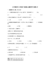 小学数学六年级下册重点题型专项练习附参考答案