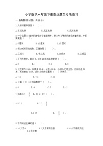 小学数学六年级下册重点题型专项练习附答案（基础题）