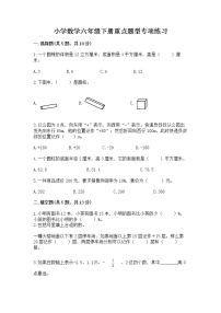 小学数学六年级下册重点题型专项练习带完整答案