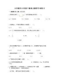 小学数学六年级下册重点题型专项练习附答案