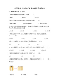 小学数学六年级下册重点题型专项练习附答案【培优A卷】