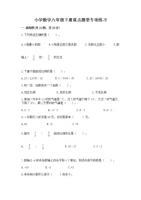 小学数学六年级下册重点题型专项练习附答案（实用）